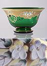 Bohemian Glass Enameled Bowl